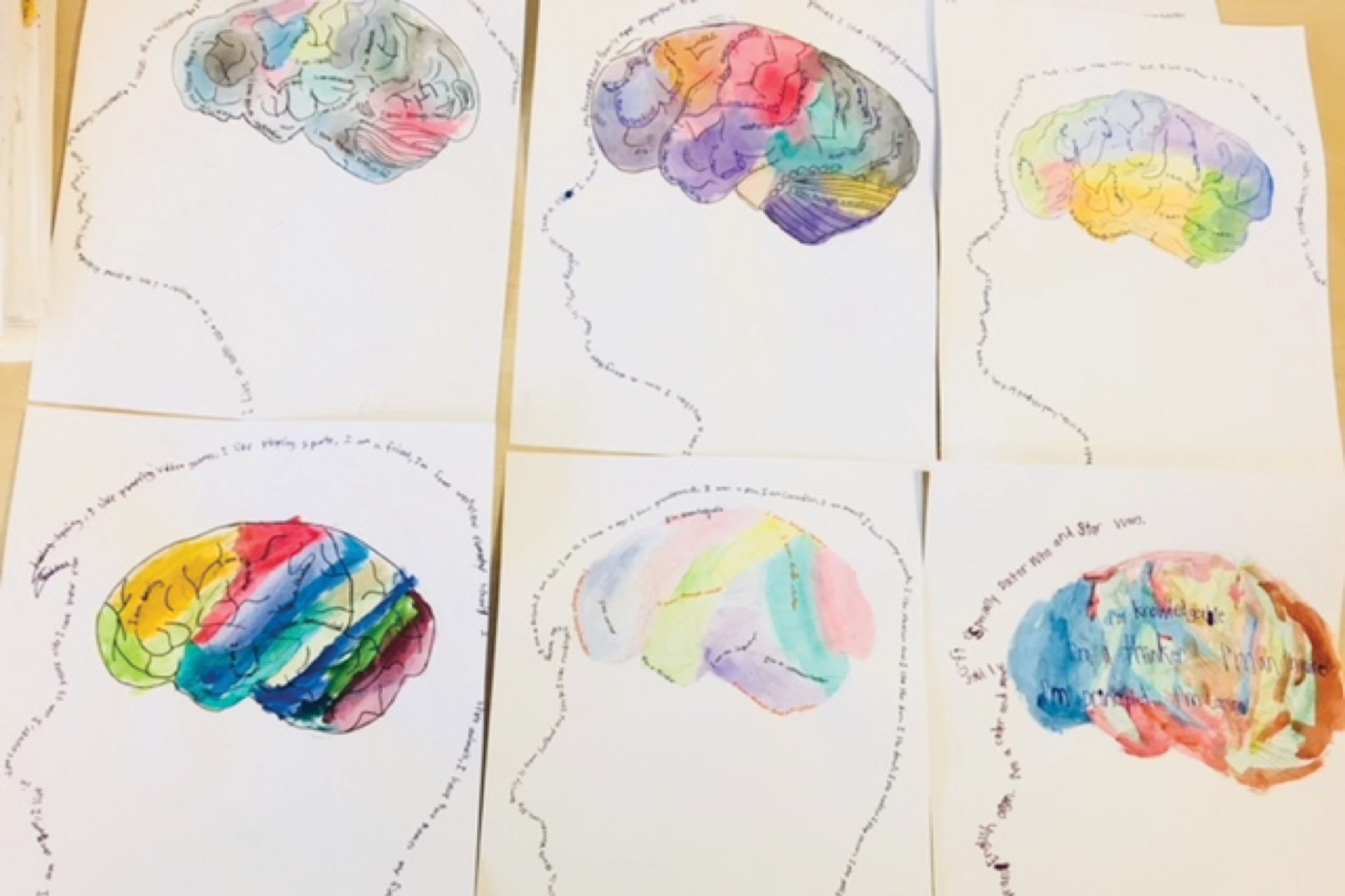 watercolour brain images