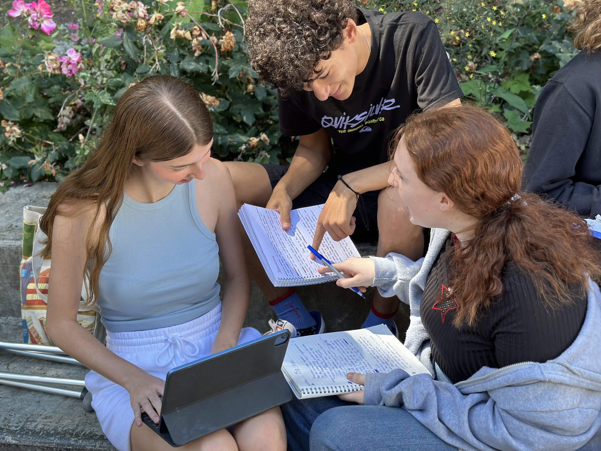 Students studying together outside